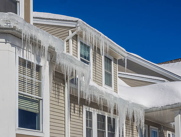 Understanding Ice Dams: Prevention and Solutions